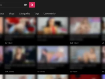 Adult Video Script Addons