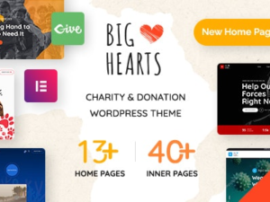 BigHearts Charity Donation WordPress Theme