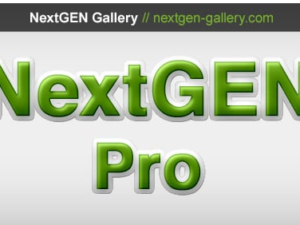 NextGen Pro by Imagely Tema