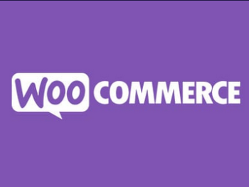 Wallet System for WooCommerce Pro