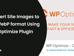 WP-Optimize Premium