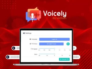 Voicely