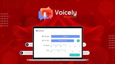 Voicely