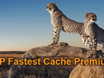 WP Fastest Cache Premium