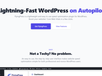 FlyingPress – Levando o WordPress a novas alturas