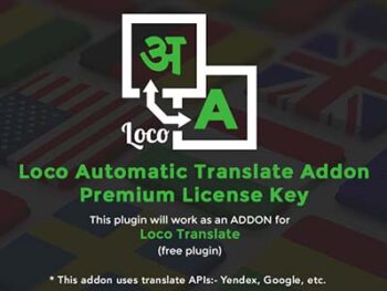 Loco Translate Automatic Translate Addon