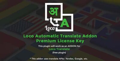 Loco Translate Automatic Translate Addon