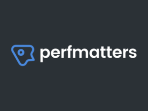 Perfmatters WordPress Plugin