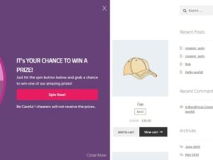 Spin Wheel for WooCommerce