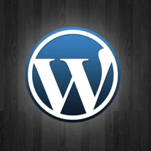 A Evolução do WordPress: Como a Plataforma se Transformou nos Últimos 10 Anos