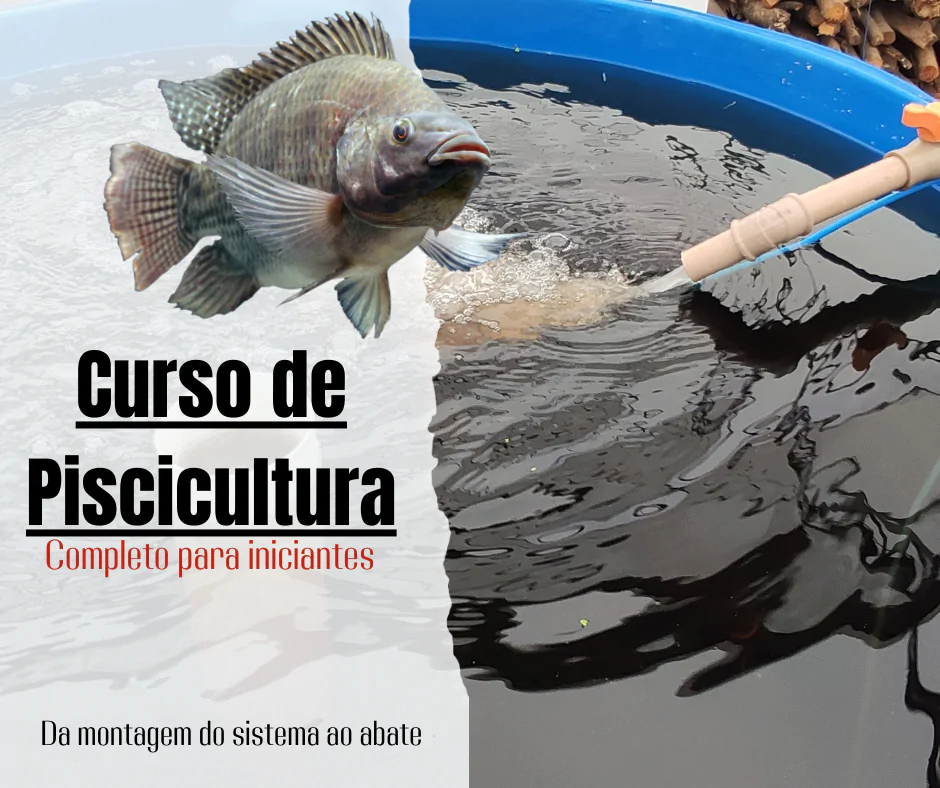 Curso de Piscicultura Fácil: Aprenda a Criar Peixes em Casa